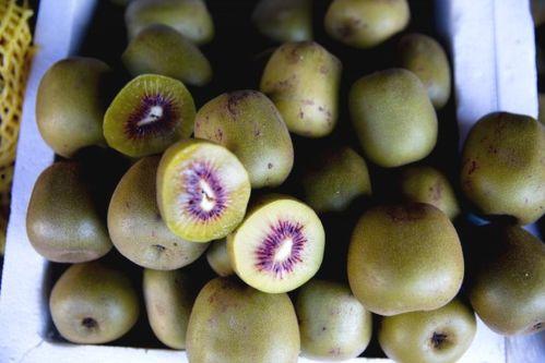 西昌的瓜最新爆料,揭秘最新瓜种传奇  第3张