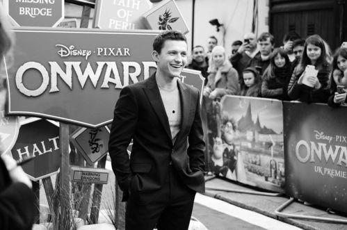 荷兰媒体最新爆料,揭秘某重大事件背后真相  第3张